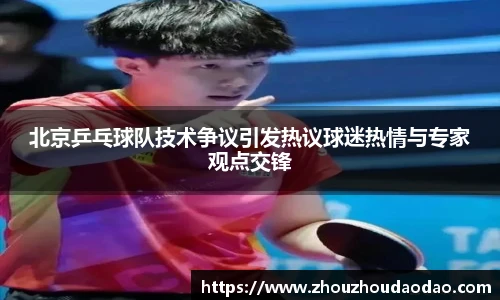 北京乒乓球队技术争议引发热议球迷热情与专家观点交锋